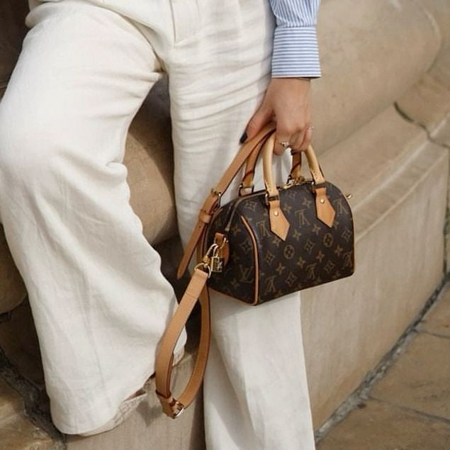 LV Speedy Nano Bag